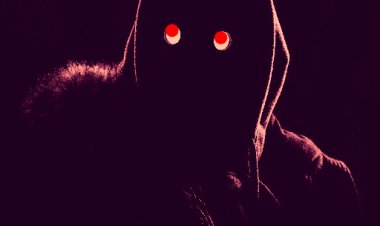 നരബലി-വീണ്ടും അസ്ഥി , ഫ്രിഡ്ജിൽ നിന്നും രക്തക്കറ , ഡോഗ് സ്ക്വാട്  എത്തി .  ഡമ്മി പരീക്ഷണവും നടത്തി.