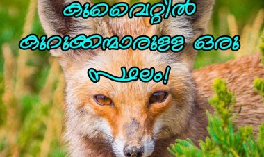 ജഹ്‌റ നേച്ചർ റിസർവ് ഔദ്യോഗികമായി പൊതുജനങ്ങൾക്കായി തുറന്നുകൊടുത്തു