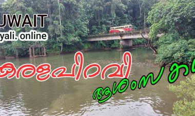 ഇന്നു കേരള പിറവി.......