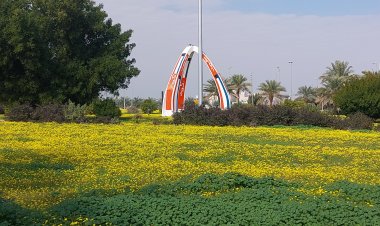 കുവൈറ്റ് യൂണിവേഴ്സിറ്റി കുവൈറ്റൈസേഷൻ നാല് വർഷത്തേക്ക് താൽക്കാലികമായി നിർത്തിവച്ചു