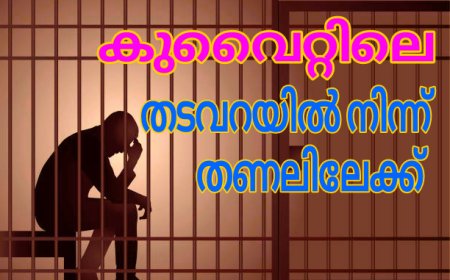 16 മലയാളികളും ജയിൽ മോചിതർ ആയി.