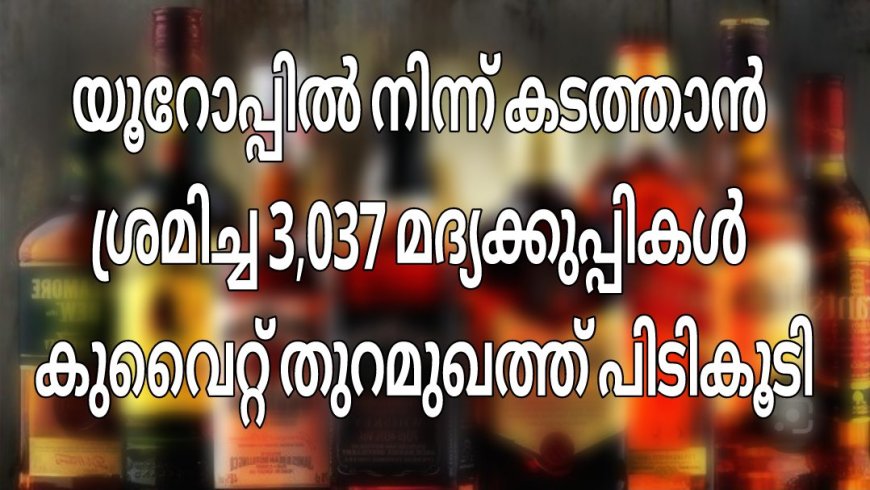 വൻ മദ്യ വേട്ട